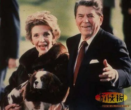 老汉公园遛老虎惊呆路人 揭秘世界牛人和他们的奇葩宠物