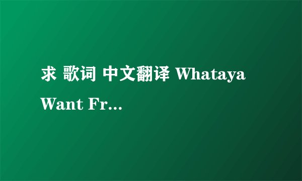求 歌词 中文翻译 Whataya Want From Me