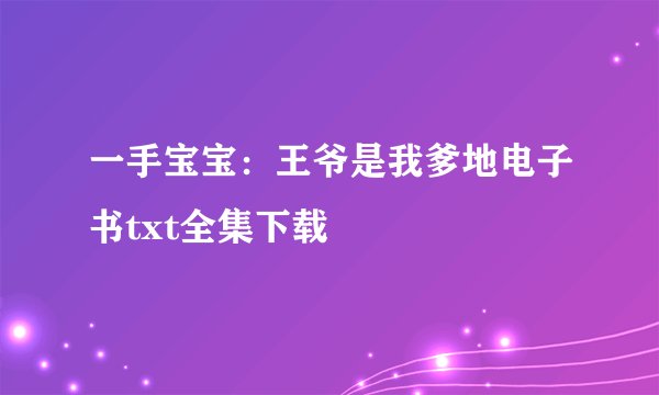一手宝宝:王爷是我爹地电子书txt全集下载