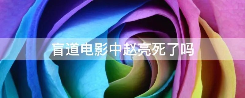 盲道电影中赵亮死了吗