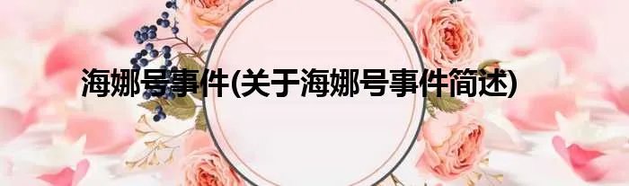 海娜号事件(关于海娜号事件简述)