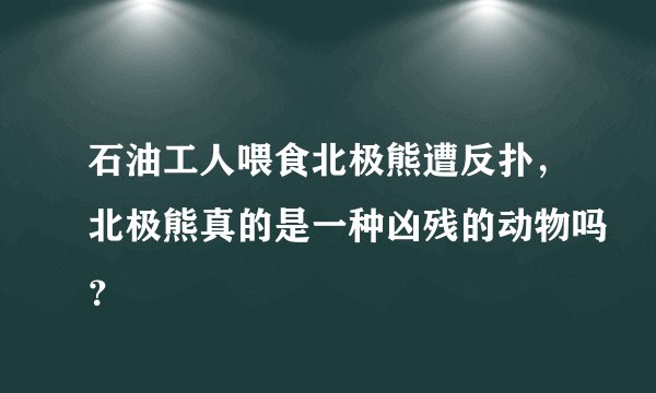 石油工人喂食北极熊遭反扑，北极熊真的是一种凶残的动物吗？