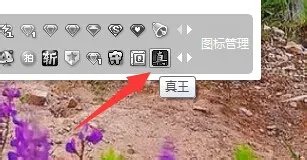 QQ真王图标点亮方法