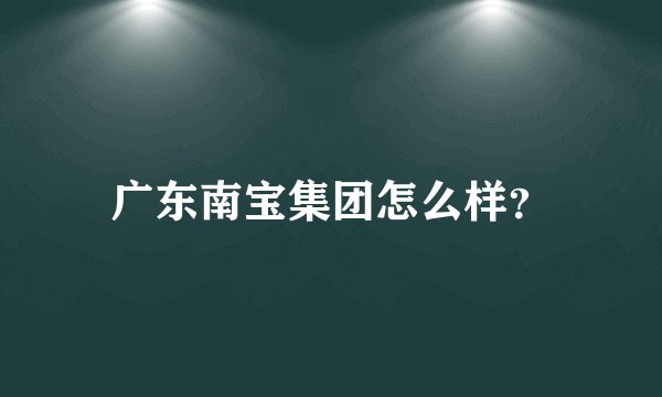 广东南宝集团怎么样？