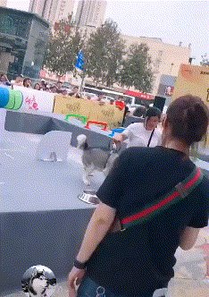 国庆内涵囧图云飞系列 性感妹子解锁新姿势可喜可贺