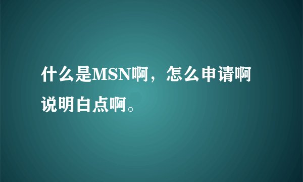 什么是MSN啊，怎么申请啊说明白点啊。