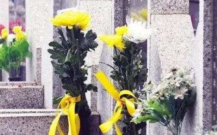 “骨灰盒小区”暴露了什么问题