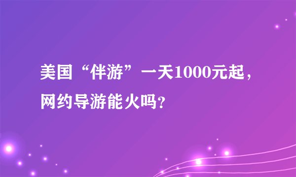 美国“伴游”一天1000元起，网约导游能火吗？