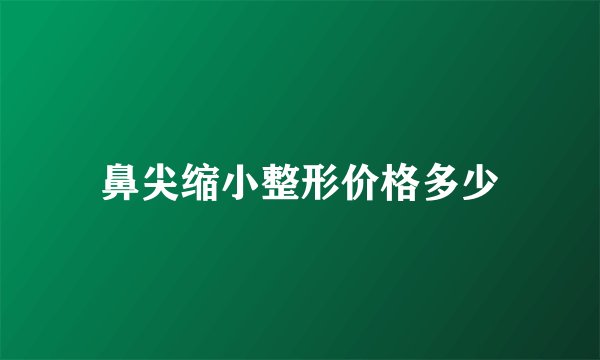 鼻尖缩小整形价格多少