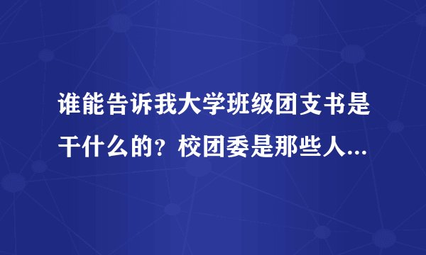 谁能告诉我大学班级团支书是干什么的？校团委是那些人构成的？