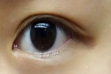 最美双眼皮图片大全