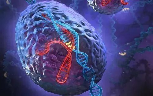 人类怎样大脑越狱？