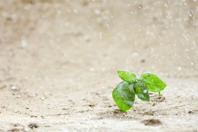 雨天正能量的句子 雨天短句暖心话正能量