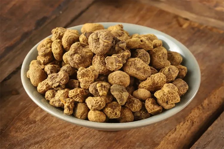 元胡图片植物图片