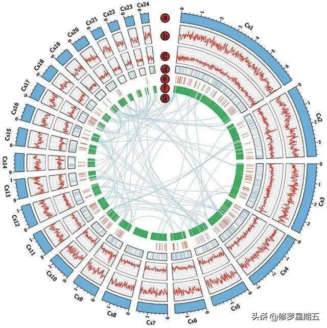 地球演化中有哪些超乎人想象的现象?