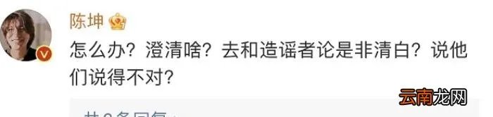 陈坤儿子生母疑曝光 陈坤儿子的妈妈