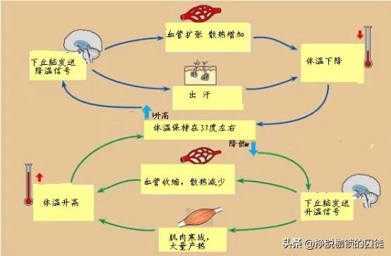 山东菏泽1岁娃被锁车内，民警要砸窗救人，孩子妈妈坚持“再等等”，她想等啥？