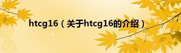 htcg16（关于htcg16的介绍）