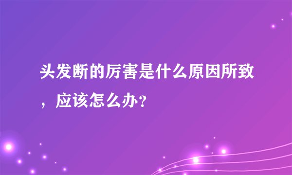 头发断的厉害是什么原因所致，应该怎么办？