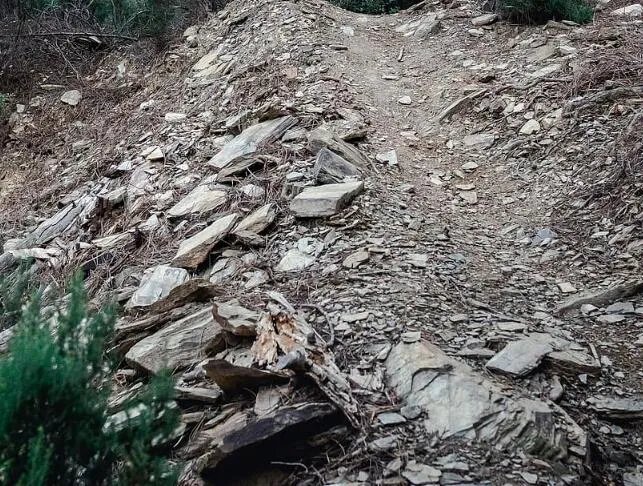 泥石流发生时应该往哪个方向跑