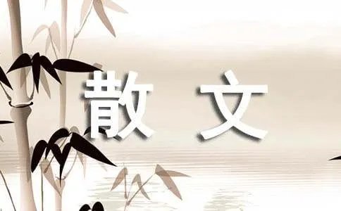 散文：我们还能爱多久