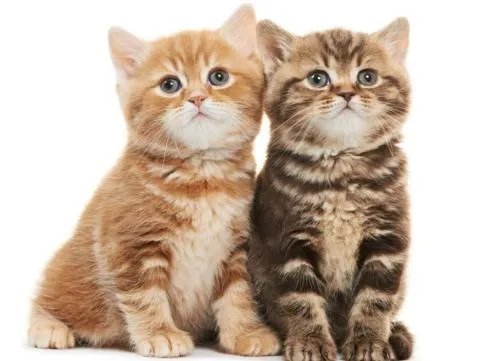 邓超为孙俪庆生惹人艳羡,究竟如何在千万人之中找到“对”的人?