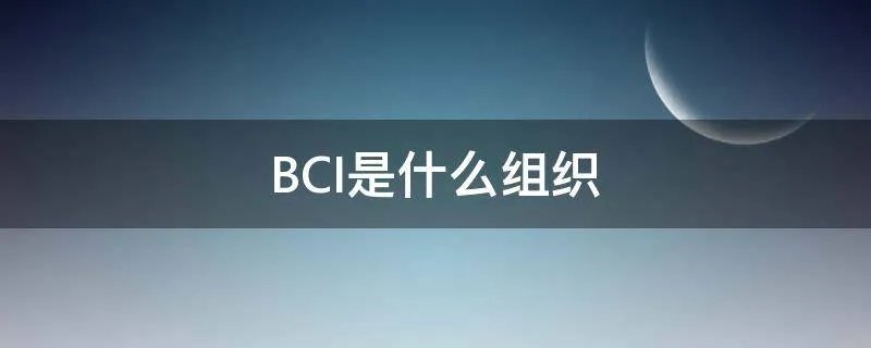 BCI是什么组织