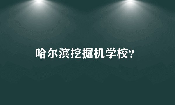 哈尔滨挖掘机学校？