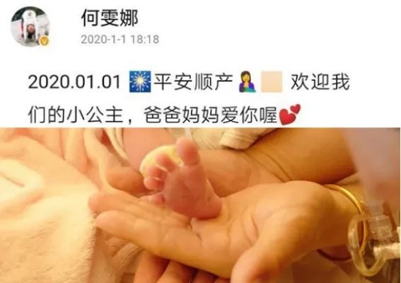 何雯娜宣布产女:何雯娜个人资料简介