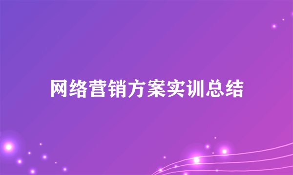 网络营销方案实训总结