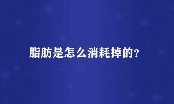 脂肪是怎么消耗掉的？