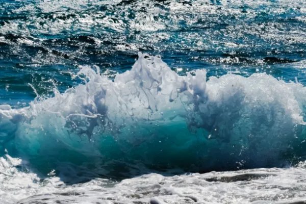 漳州11人被卷入海水身亡，死者的落水原因是什么？