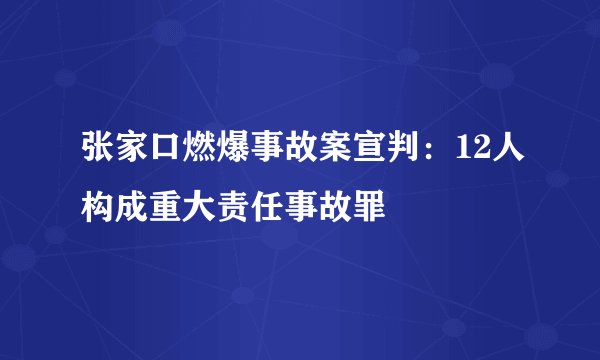 张家口燃爆事故案宣判：12人构成重大责任事故罪