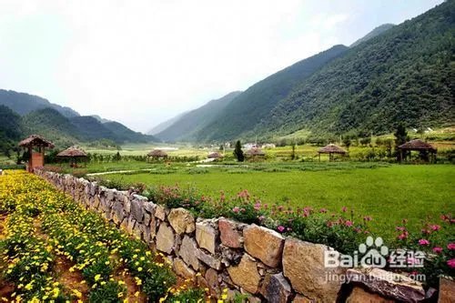 重庆到大木花谷一日游