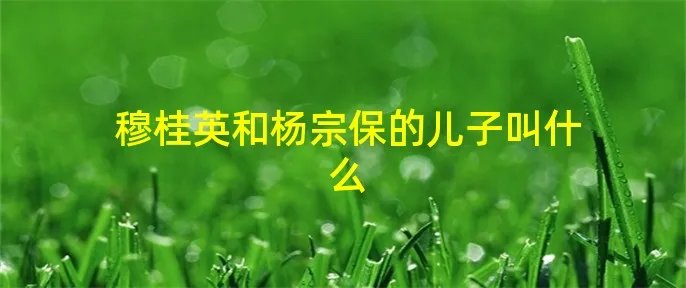 穆桂英和杨宗保的儿子叫什么
