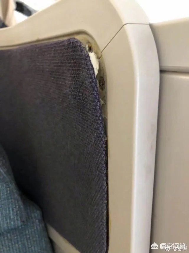 舒淇发文怒斥乘机旅客碰撞电视损坏公物，乘客应该为其不文明行为负责么？