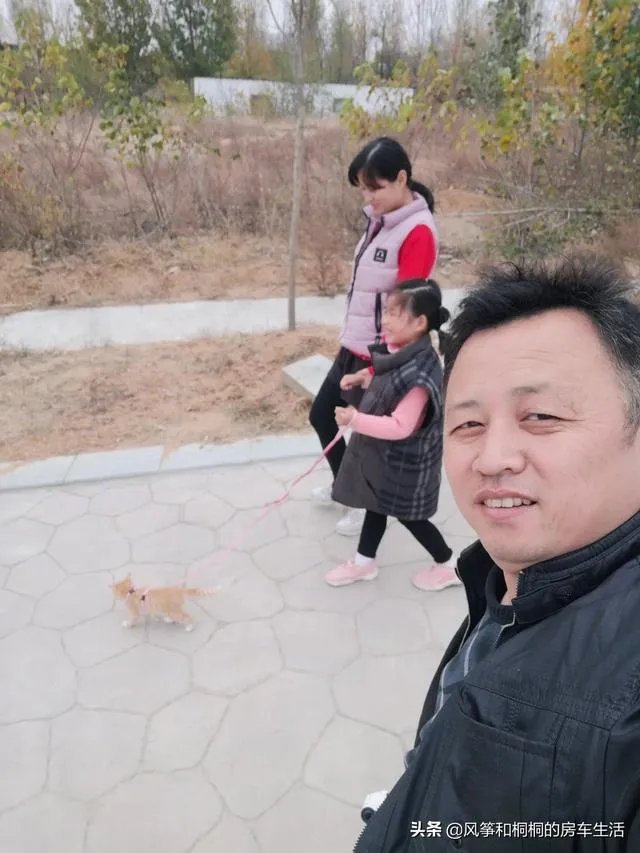 房车旅行可以带猫吗？为什么？