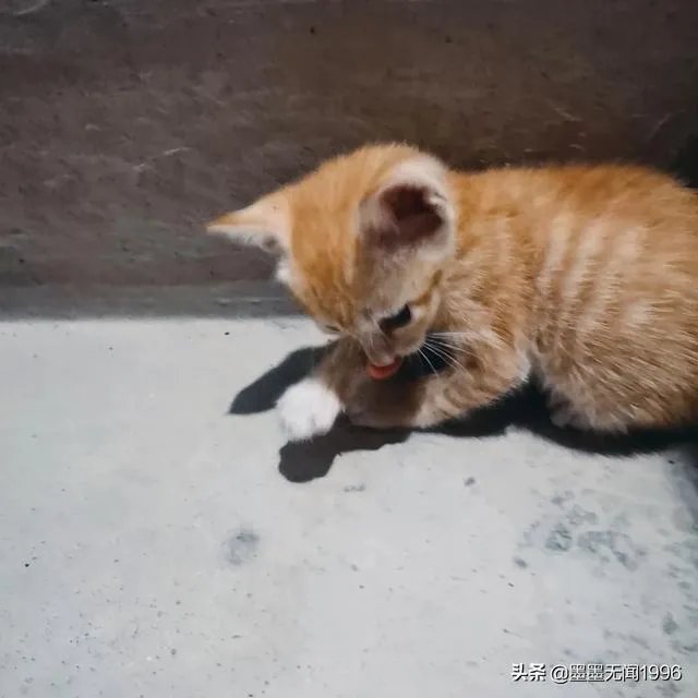 爱上头条到底是因为什么？