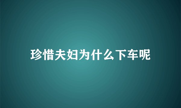 珍惜夫妇为什么下车呢