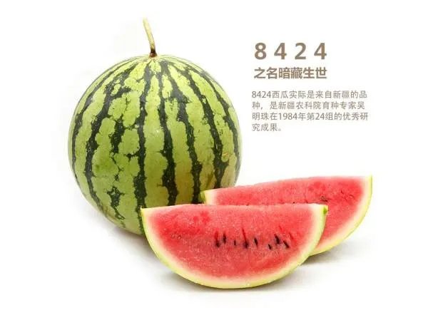 《8424》的西瓜种植技术？