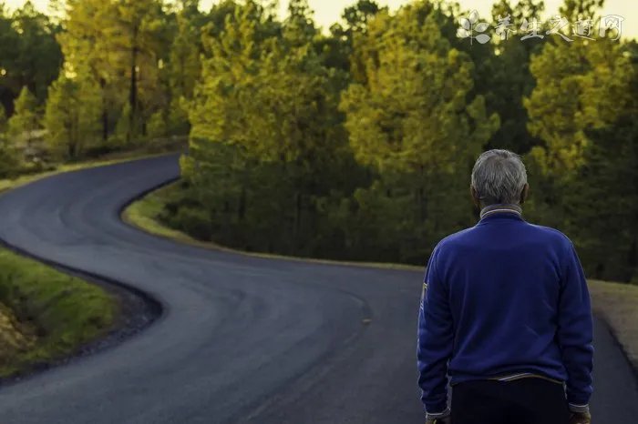 驾考新规2013文明驾驶考试题