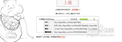 depositfiles网盘注册操作教程