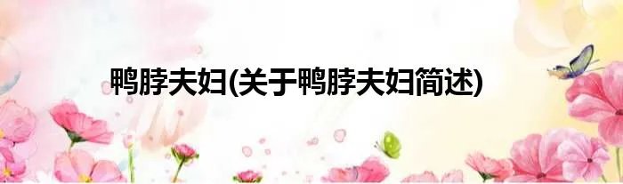 鸭脖夫妇(关于鸭脖夫妇简述)