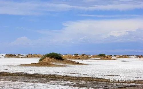 盐碱地改良方法