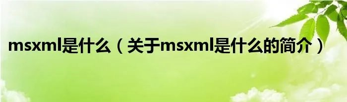 msxml是什么（关于msxml是什么的简介）