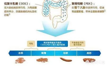 美素佳儿金装奶粉和美赞臣哪个好？都是进口的知名品牌，不知道怎么选？