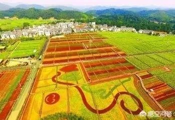 你喜欢郴州吗？