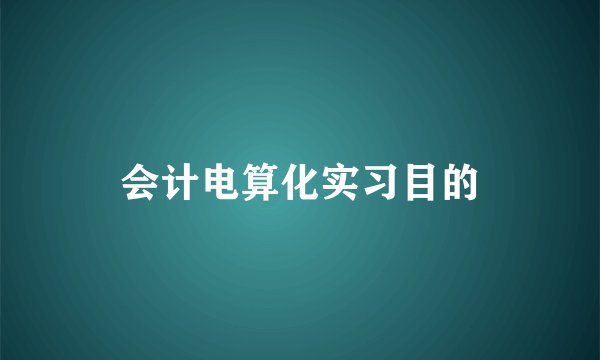 会计电算化实习目的