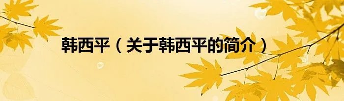 韩西平（关于韩西平的简介）
