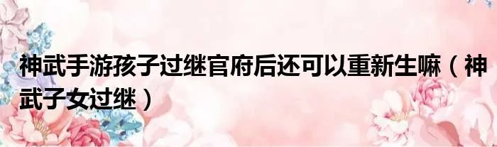 神武手游孩子过继官府后还可以重新生嘛（神武子女过继）